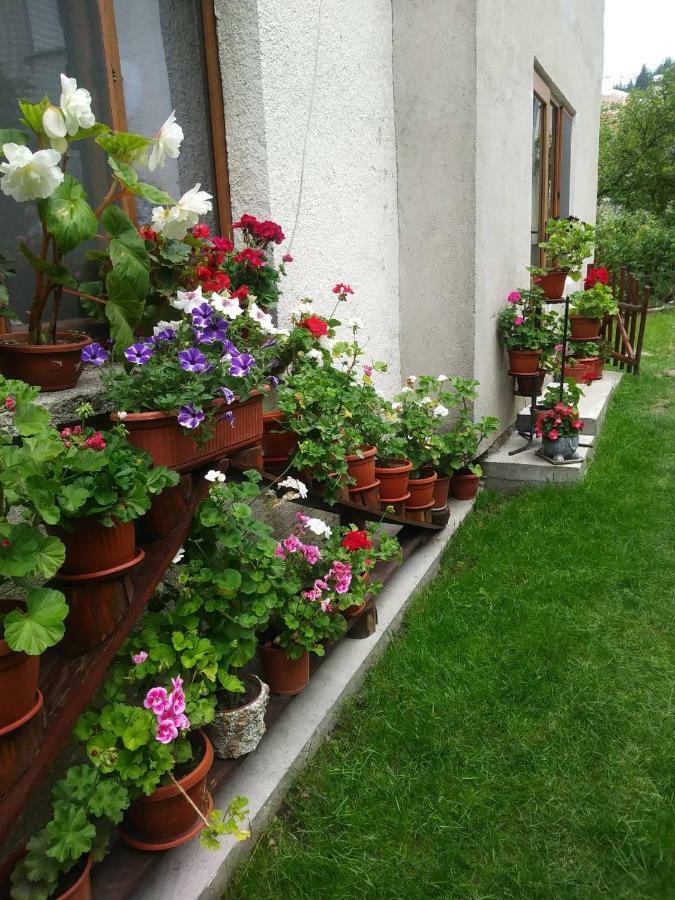 Guest House Emmy Триград Экстерьер фото